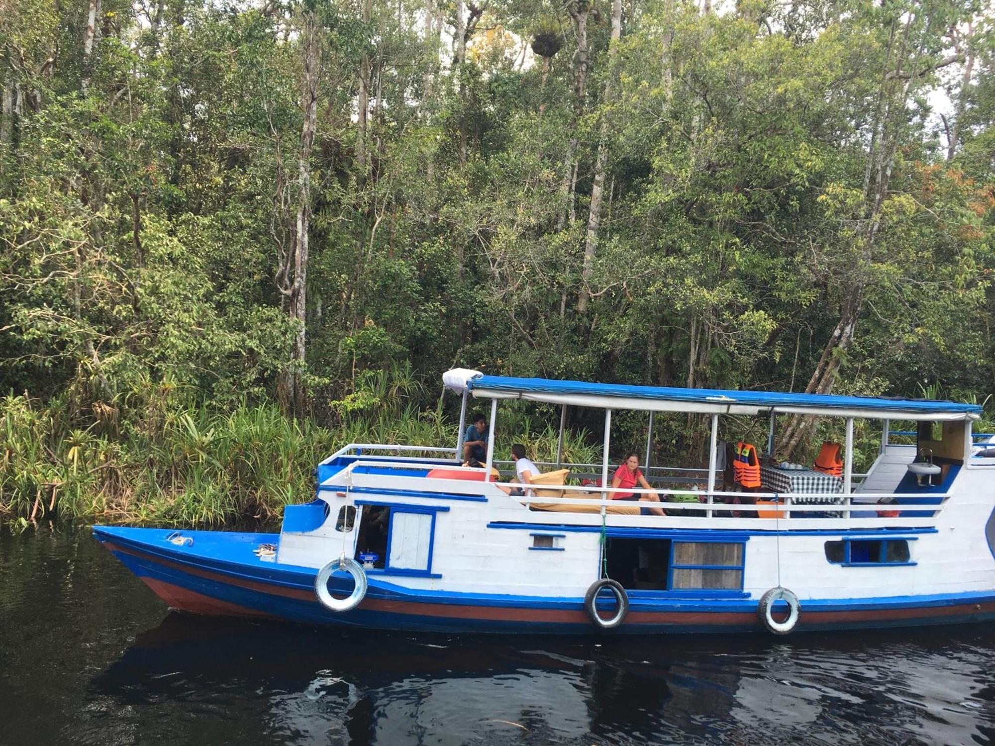 Orangutan Shaka Houseboat With Cabin 판칼란분 외부 사진