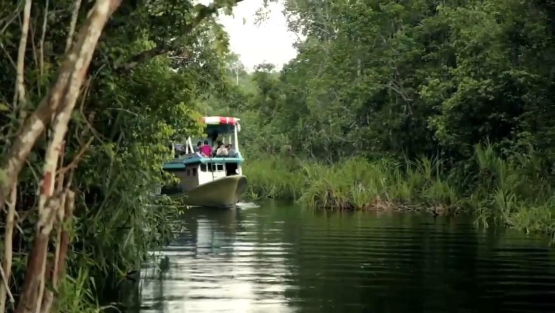 Orangutan Shaka Houseboat With Cabin 판칼란분 외부 사진