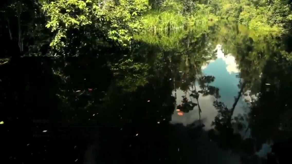 Orangutan Shaka Houseboat With Cabin 판칼란분 외부 사진