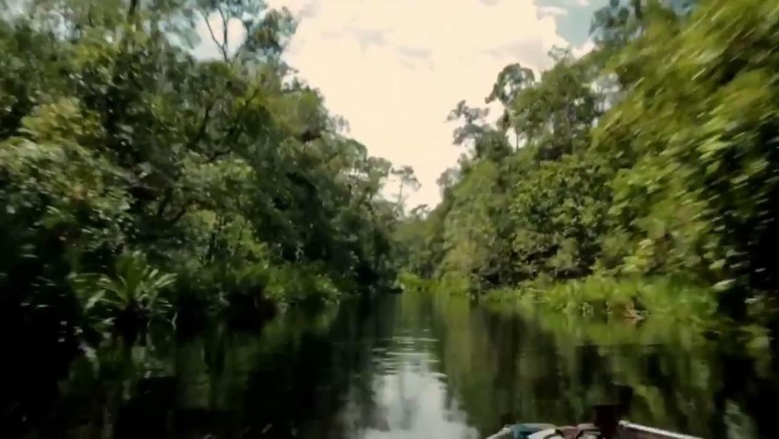 Orangutan Shaka Houseboat With Cabin 판칼란분 외부 사진